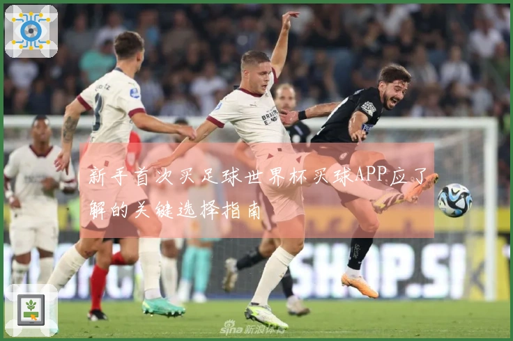新手首次买足球世界杯买球APP应了解的关键选择指南