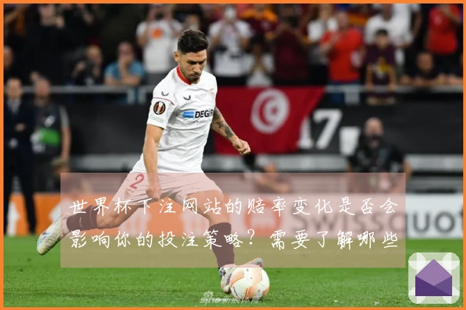世界杯下注网站的赔率变化是否会影响你的投注策略？需要了解哪些关键因素？