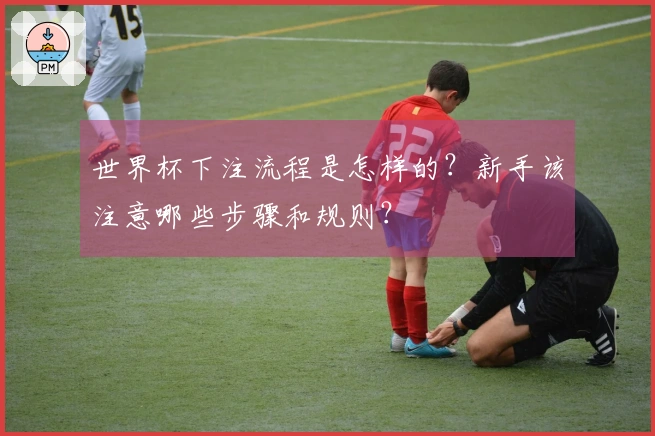 世界杯下注流程是怎样的？新手该注意哪些步骤和规则？
