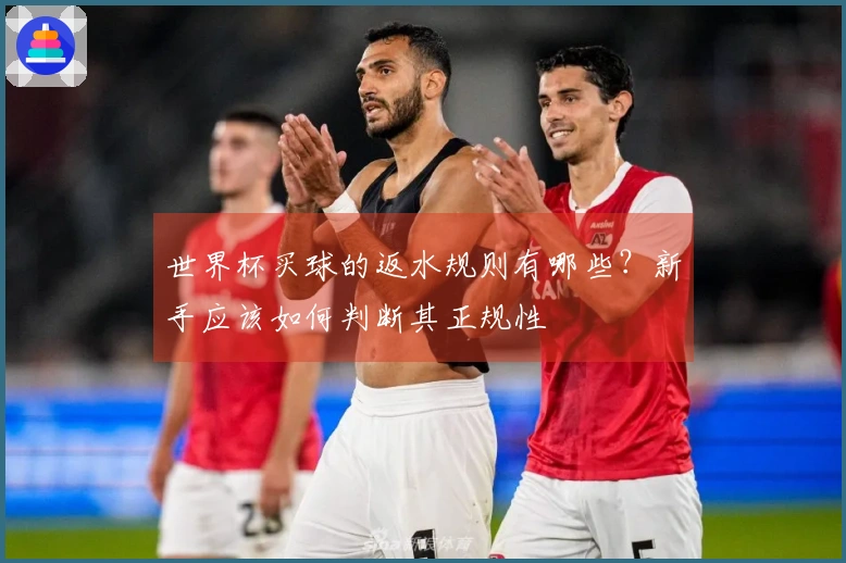 世界杯买球的返水规则有哪些？新手应该如何判断其正规性