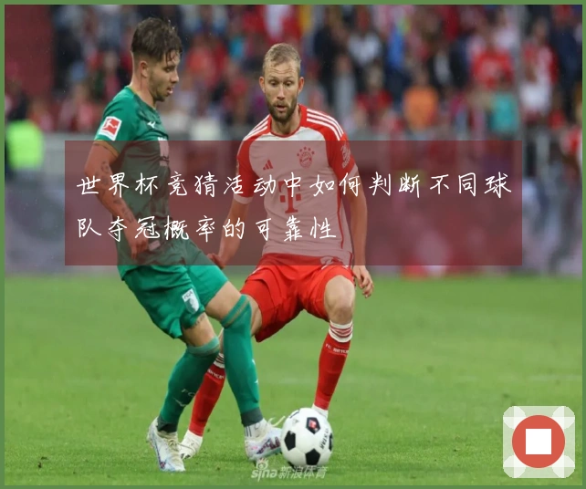 世界杯竞猜活动中如何判断不同球队夺冠概率的可靠性