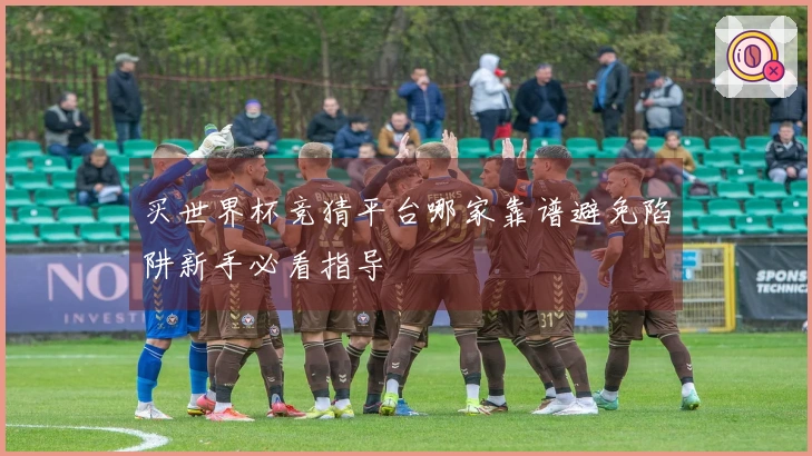 买世界杯竞猜平台哪家靠谱避免陷阱新手必看指导
