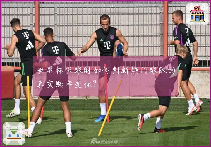 世界杯买球时如何判断热门球队的真实赔率变化？