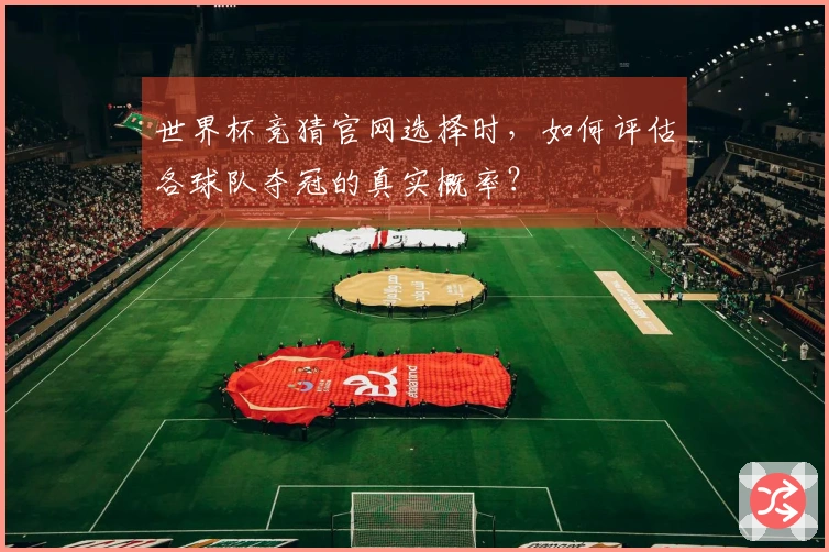 世界杯竞猜官网选择时，如何评估各球队夺冠的真实概率？