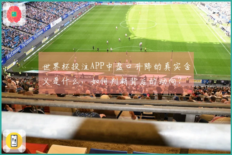 世界杯投注APP中盘口升降的真实含义是什么，如何判断背后的动向？