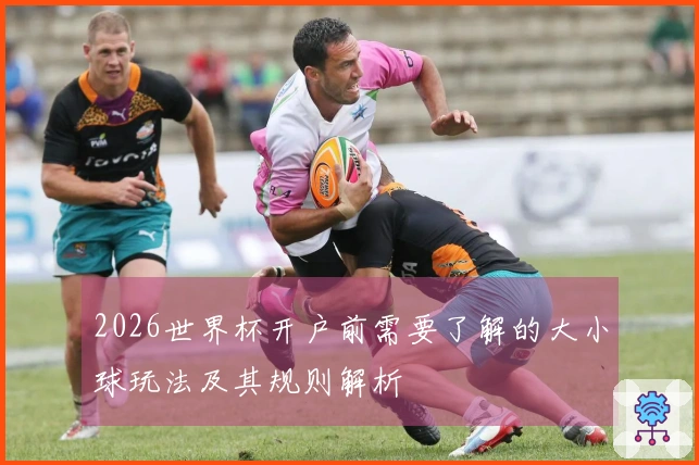 2026世界杯开户前需要了解的大小球玩法及其规则解析