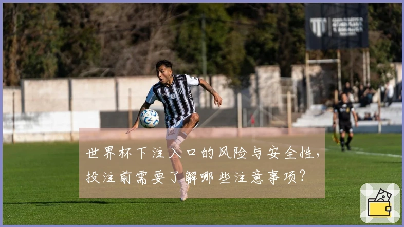 世界杯下注入口的风险与安全性，投注前需要了解哪些注意事项？