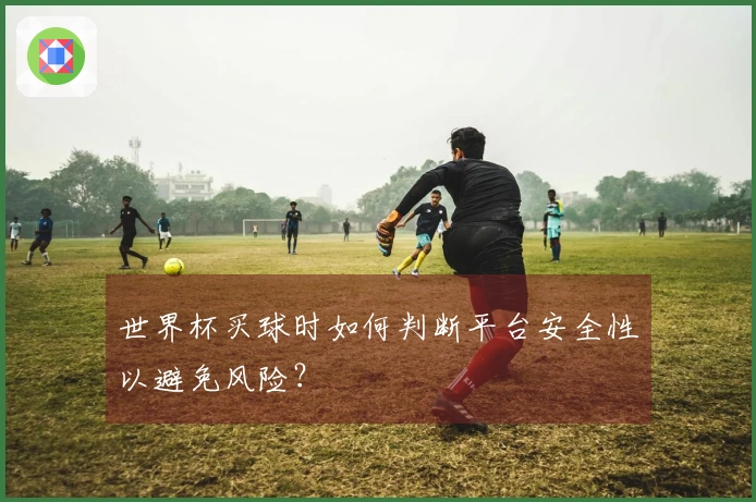 世界杯买球时如何判断平台安全性以避免风险？