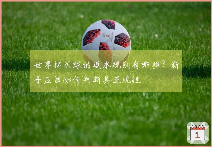世界杯买球的返水规则有哪些？新手应该如何判断其正规性