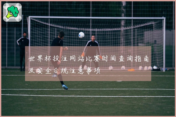 世界杯投注网站比赛时间查询指南及安全合规注意事项
