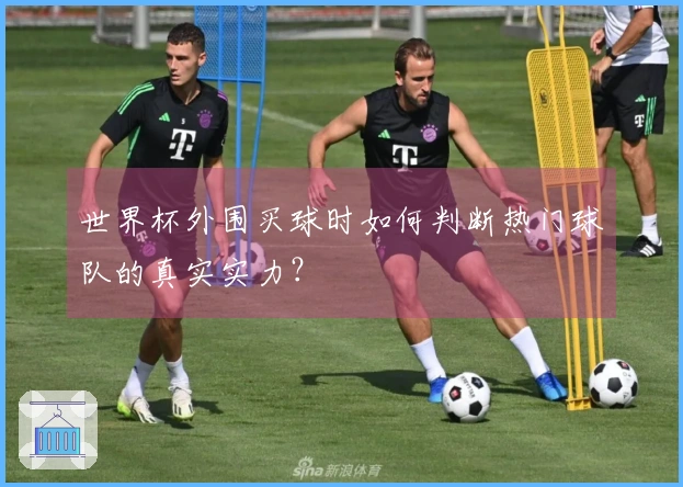 世界杯外围买球时如何判断热门球队的真实实力？