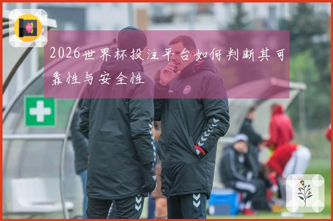 2026世界杯投注平台如何判断其可靠性与安全性