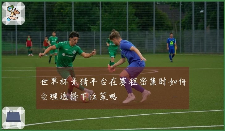 世界杯竞猜平台在赛程密集时如何合理选择下注策略