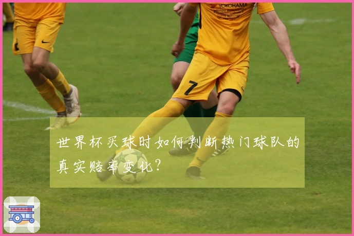 世界杯买球时如何判断热门球队的真实赔率变化？