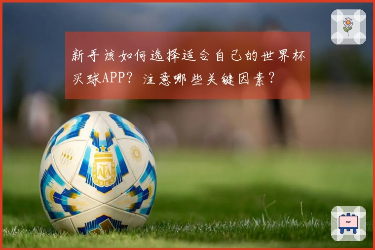 新手该如何选择适合自己的世界杯买球APP？注意哪些关键因素？