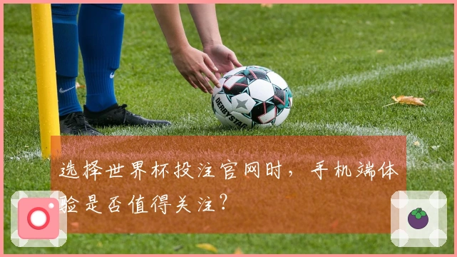 选择世界杯投注官网时，手机端体验是否值得关注？
