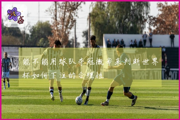 能不能用球队夺冠概率来判断世界杯如何下注的合理性