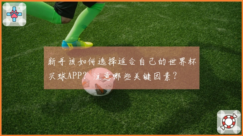 新手该如何选择适合自己的世界杯买球APP？注意哪些关键因素？