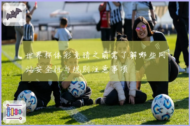 世界杯体彩竞猜之前需了解哪些网站安全性与规则注意事项
