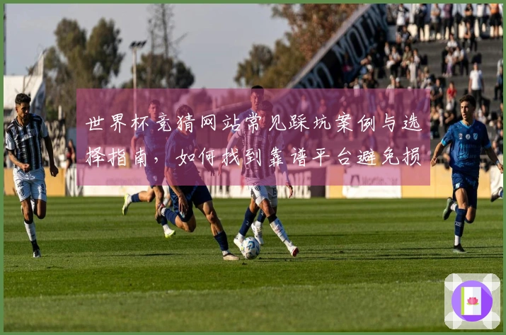 世界杯竞猜网站常见踩坑案例与选择指南，如何找到靠谱平台避免损失