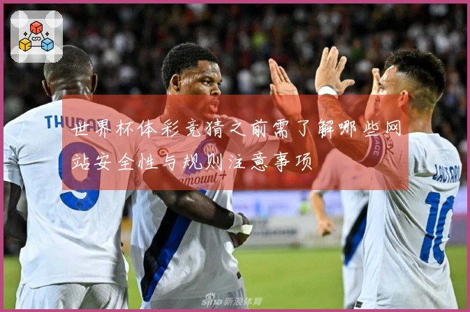 世界杯体彩竞猜之前需了解哪些网站安全性与规则注意事项