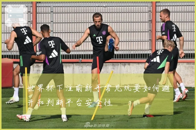世界杯下注前新手常见坑要如何避开和判断平台安全性