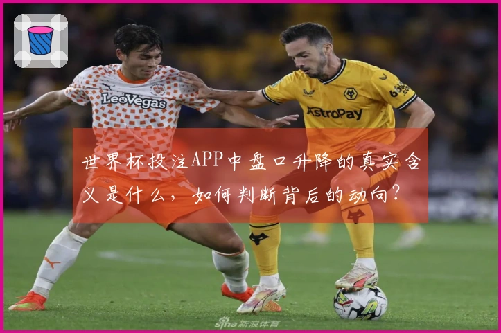 世界杯投注APP中盘口升降的真实含义是什么，如何判断背后的动向？